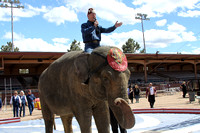 Colorado Springs Circus